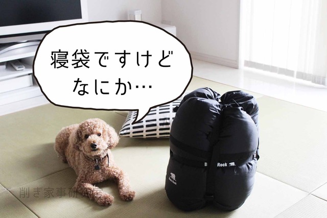 客用布団 寝袋 収納 納戸 ねぶくろん (1)