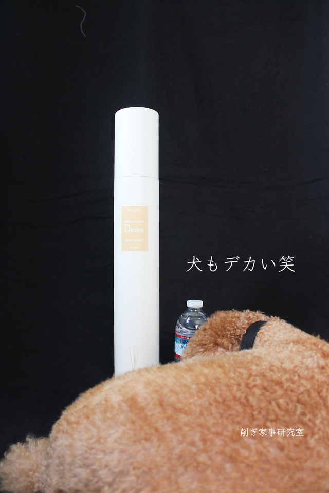 リードディフューザー5