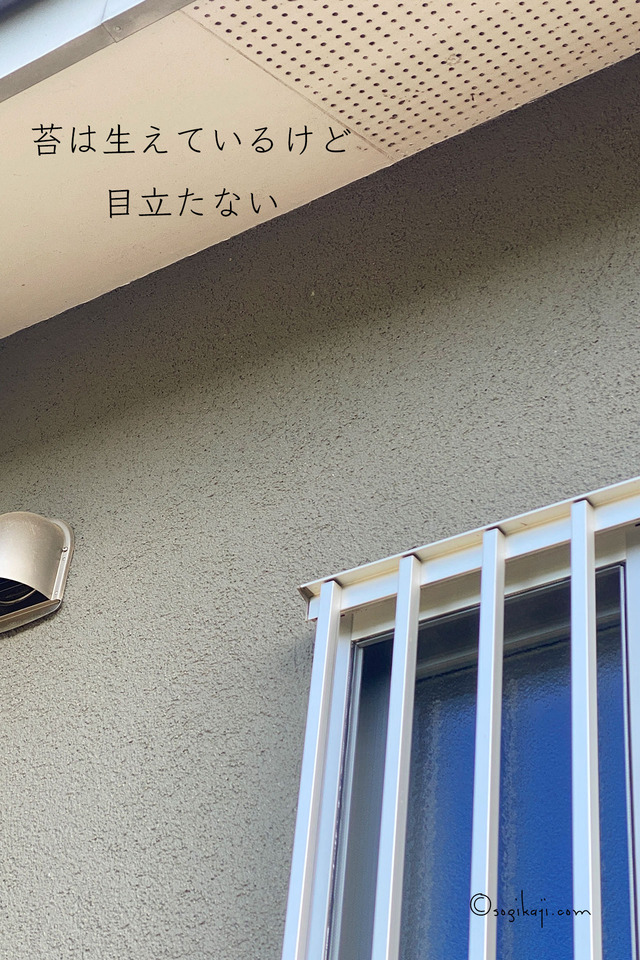 外壁の色-家づくり3