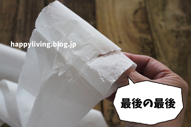 国内最長級トイレットペーパー 最後 芯なし レビュー (4)