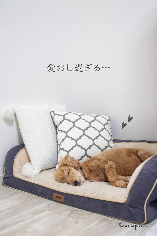 クッション9