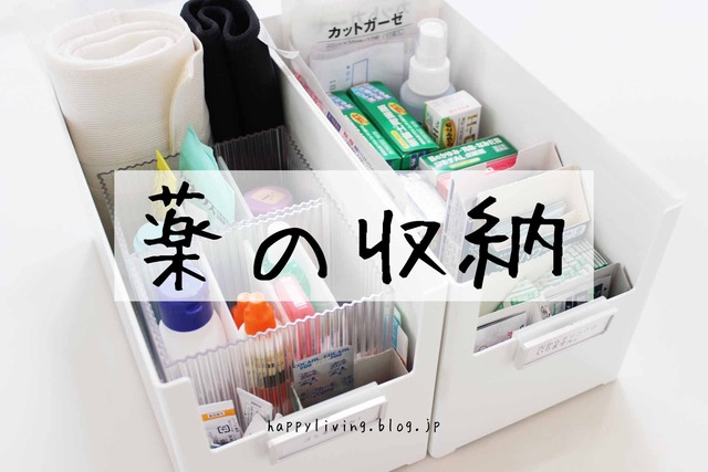 薬収納 スキット カインズ 置き薬 (6)