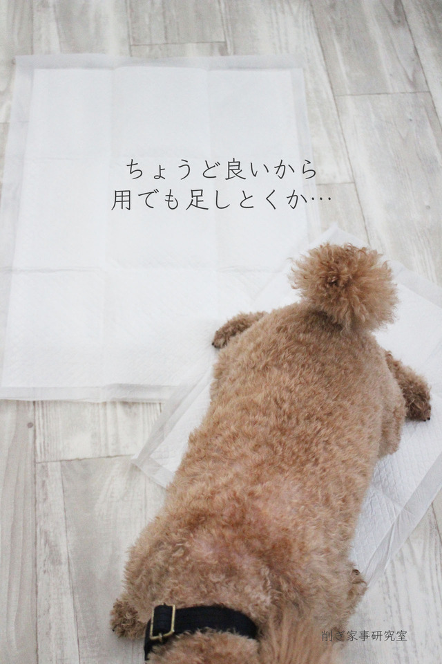 ペットシーツサイズ4
