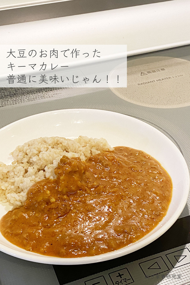 大豆のお肉3