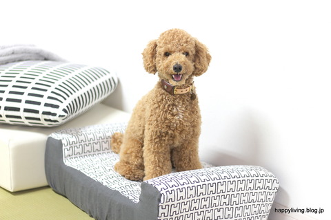 犬ベッド カバー artek 手作り モノトーン (8)