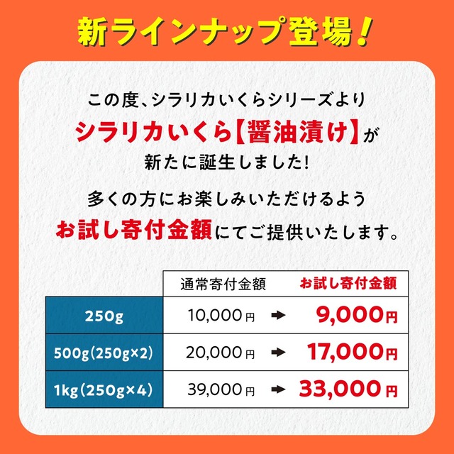 ikura_2312_01