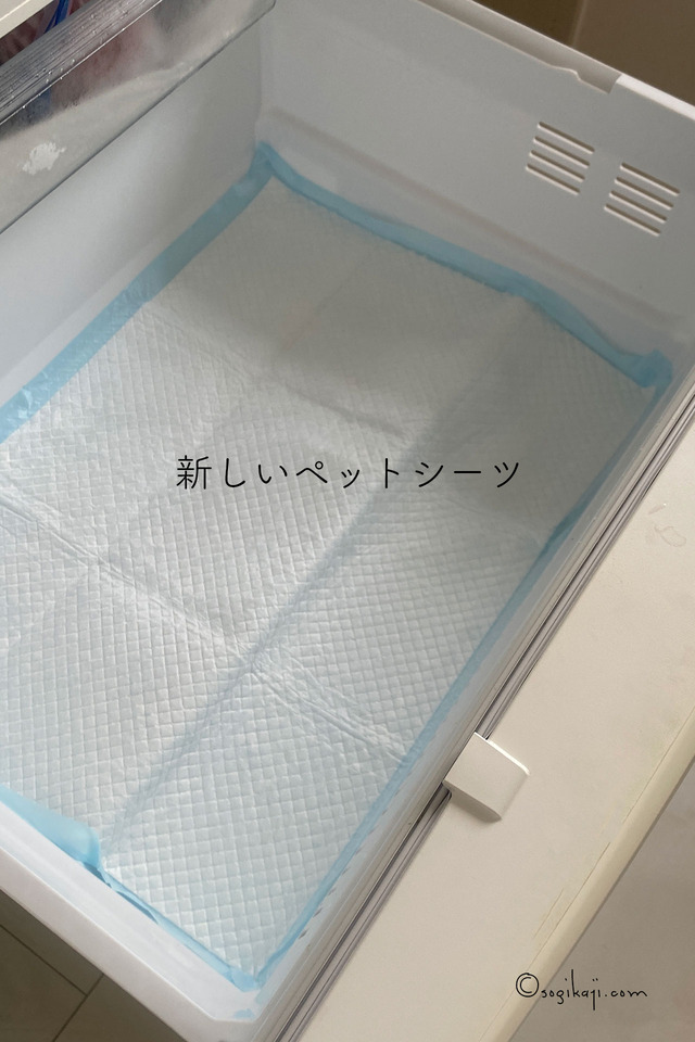冷凍庫掃除11