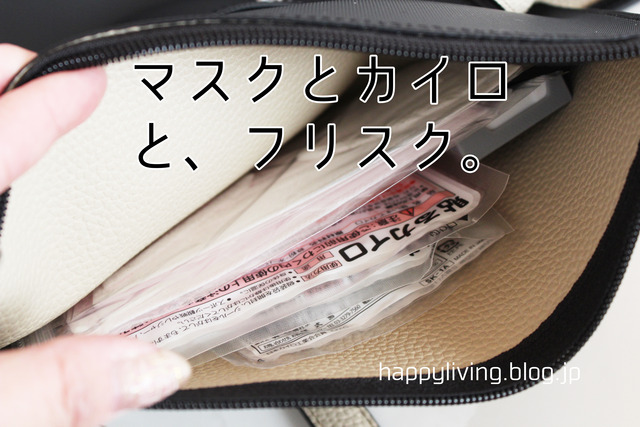 バッグの中身 整理収納 バッグインバッグ (7)