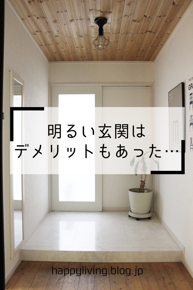 家づくり 失敗 明るい玄関 虫 白 (2)