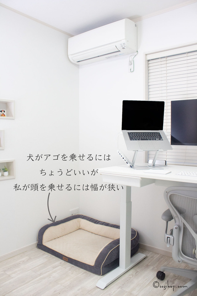 クッション6