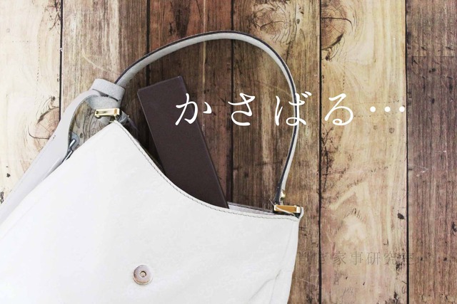 スリム コンパクト 眼鏡ケース 持ち歩き メガネ (1)