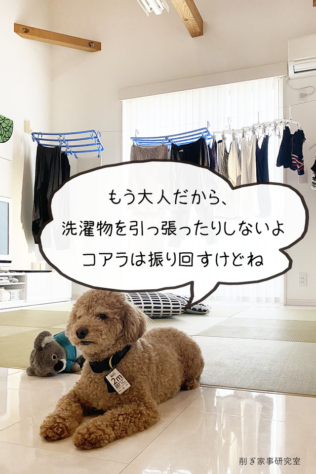 部屋干し1