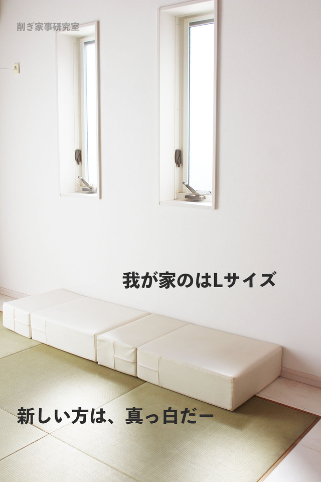 ドッグステップ6