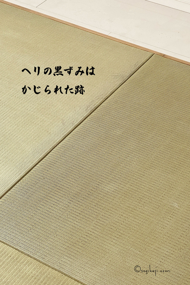 ダイケン-和紙畳4