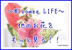 花 ブルーミーライフ Bloomee LIFE 500円 ポスト投函