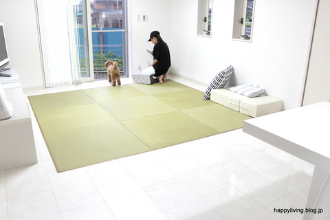 犬ベッド カバー artek 手作り モノトーン (11)