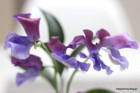Bloomee Life 花 インテリア 500円 ポスト投函 (15)