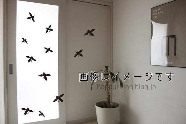 家づくり 失敗 明るい玄関 虫 白 (3)