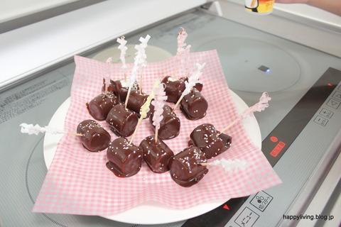 チョコレート 湯煎 保温 簡単 (7)