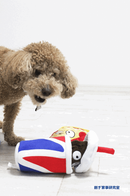 コストコ 犬 おもちゃ3