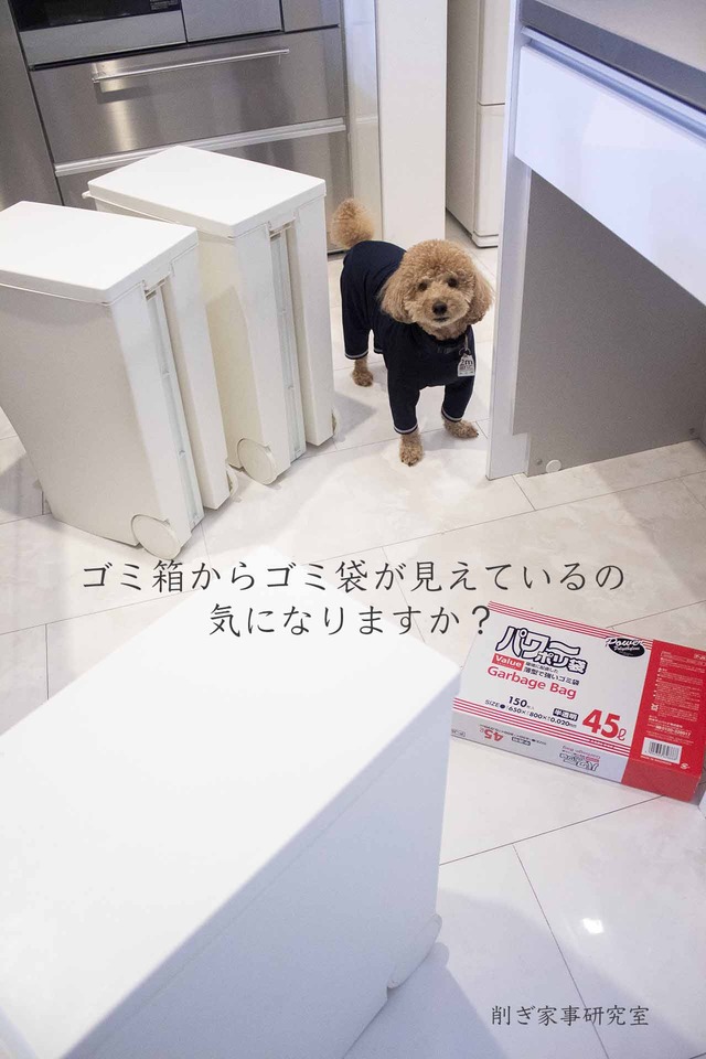 ゴミ袋収納4