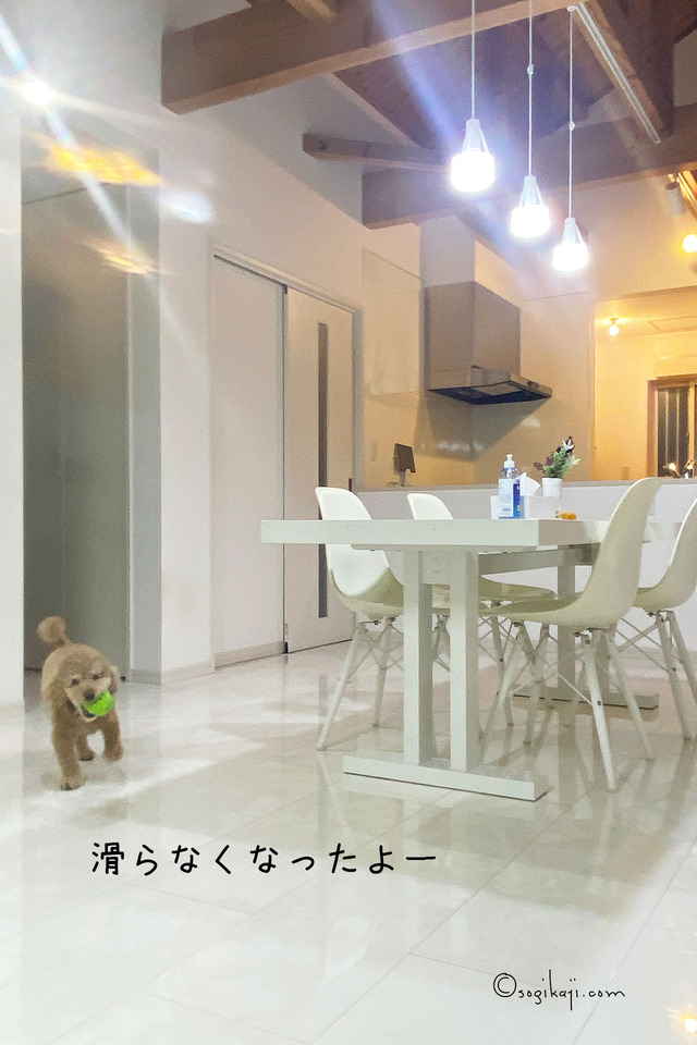 犬-滑らない-コーティング2
