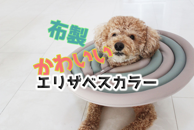 犬猫用おすすめの エリザベスカラー 布製でデザインもかわいい Happy Living 削ぎ家事研究室 Powered By ライブドアブログ 犬猫用おすすめの エリザベスカラー 布製でデザインもかわいい Happy Living 削ぎ家事研究室 Powered By ライブドアブログ