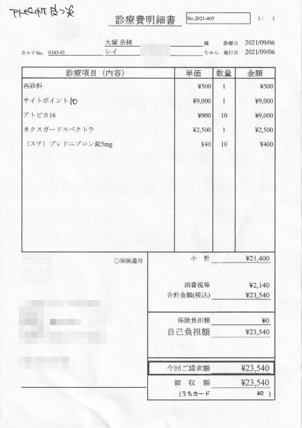 診療明細書20210906