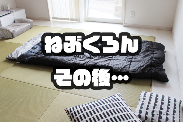 ねぶくろん3
