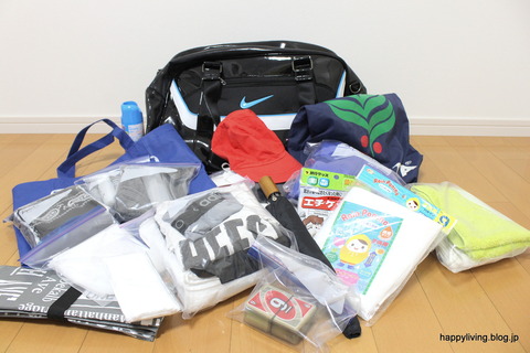 旅行 見える収納 宿泊学習 荷物 (1)