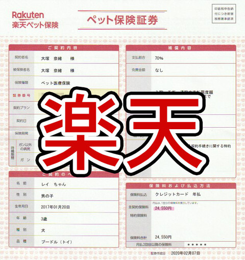 楽天ペット保険