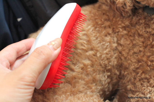 ヘアブラシ タンクルティーザー 犬 コストコ くせ毛 (8)