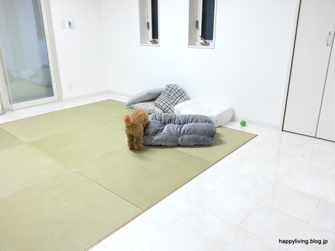 カインズ もちもちロールクッション5