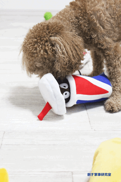 コストコ 犬 おもちゃ4