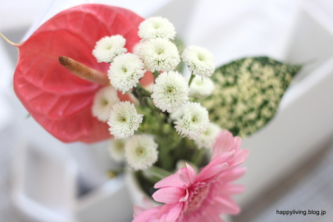 ワンコイン BloomeeLIFE 花 ポスト投函 (1)