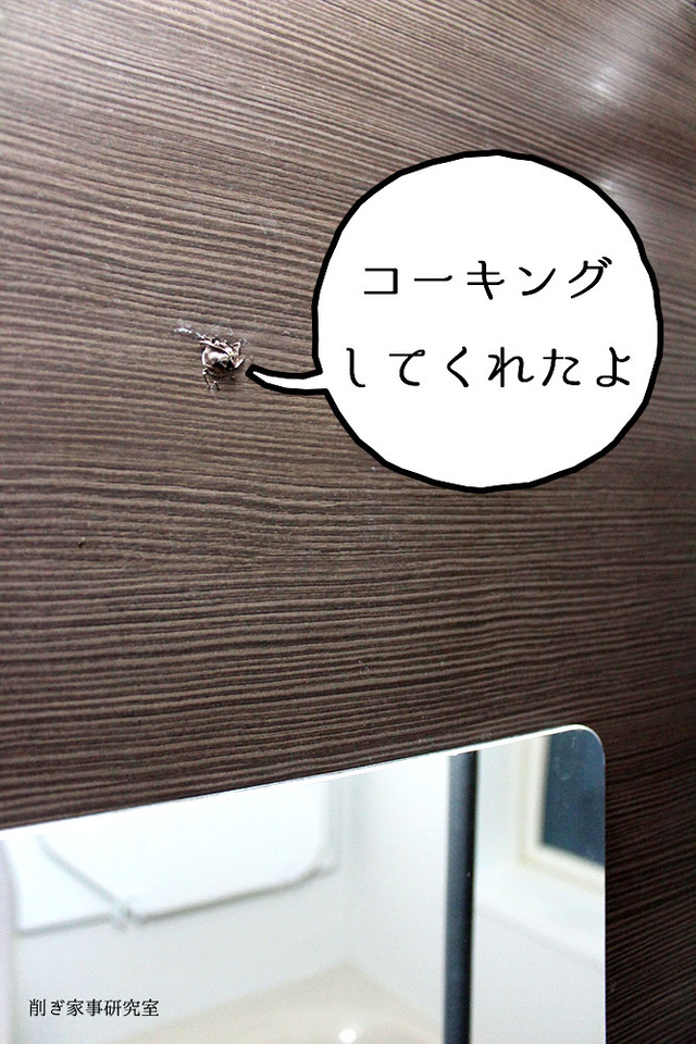 お風呂 タオルハンガー 外す 穴 (2)