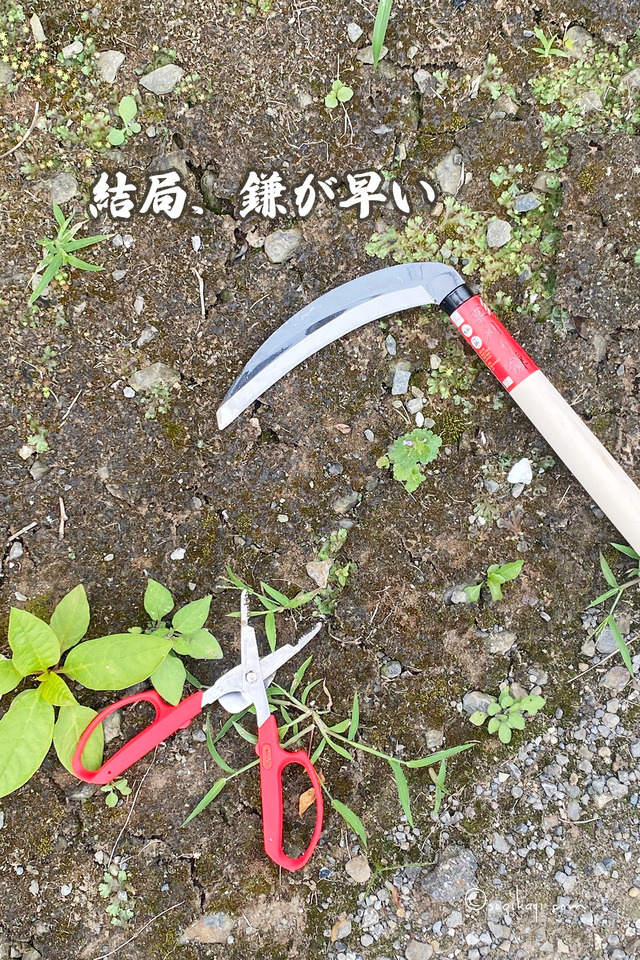 草取り-テコ付き6