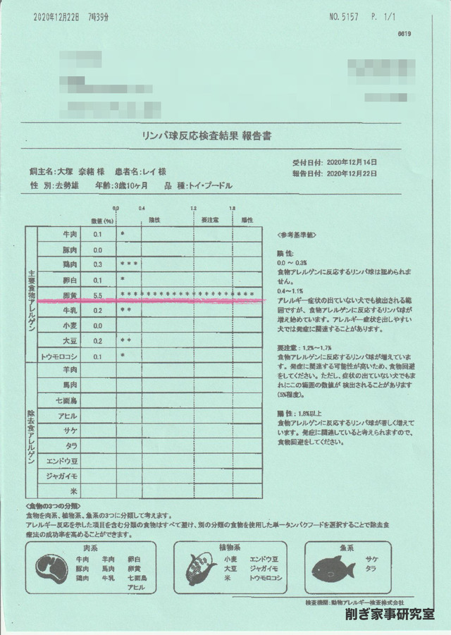 アレルギー検査4