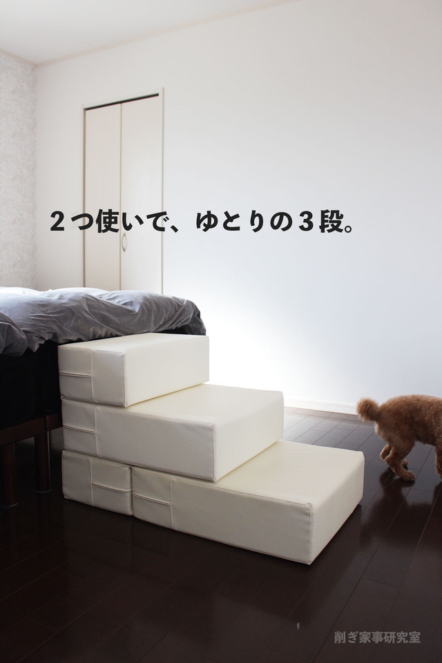 ドッグステップ2
