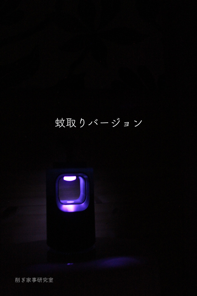 家づくり 玄関10