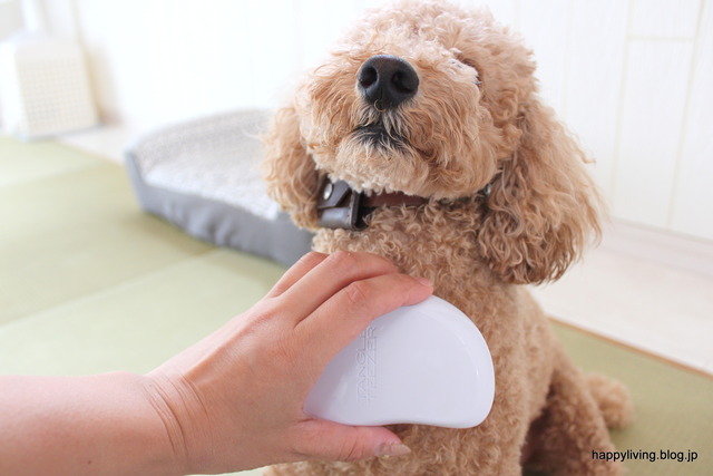 ヘアブラシ　タンクルティーザー　犬　コストコ　くせ毛 (5)