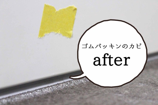 KABITORIZAI カビ取り剤スーパー ゴムパッキン (6)