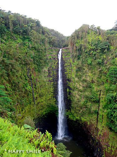 h506