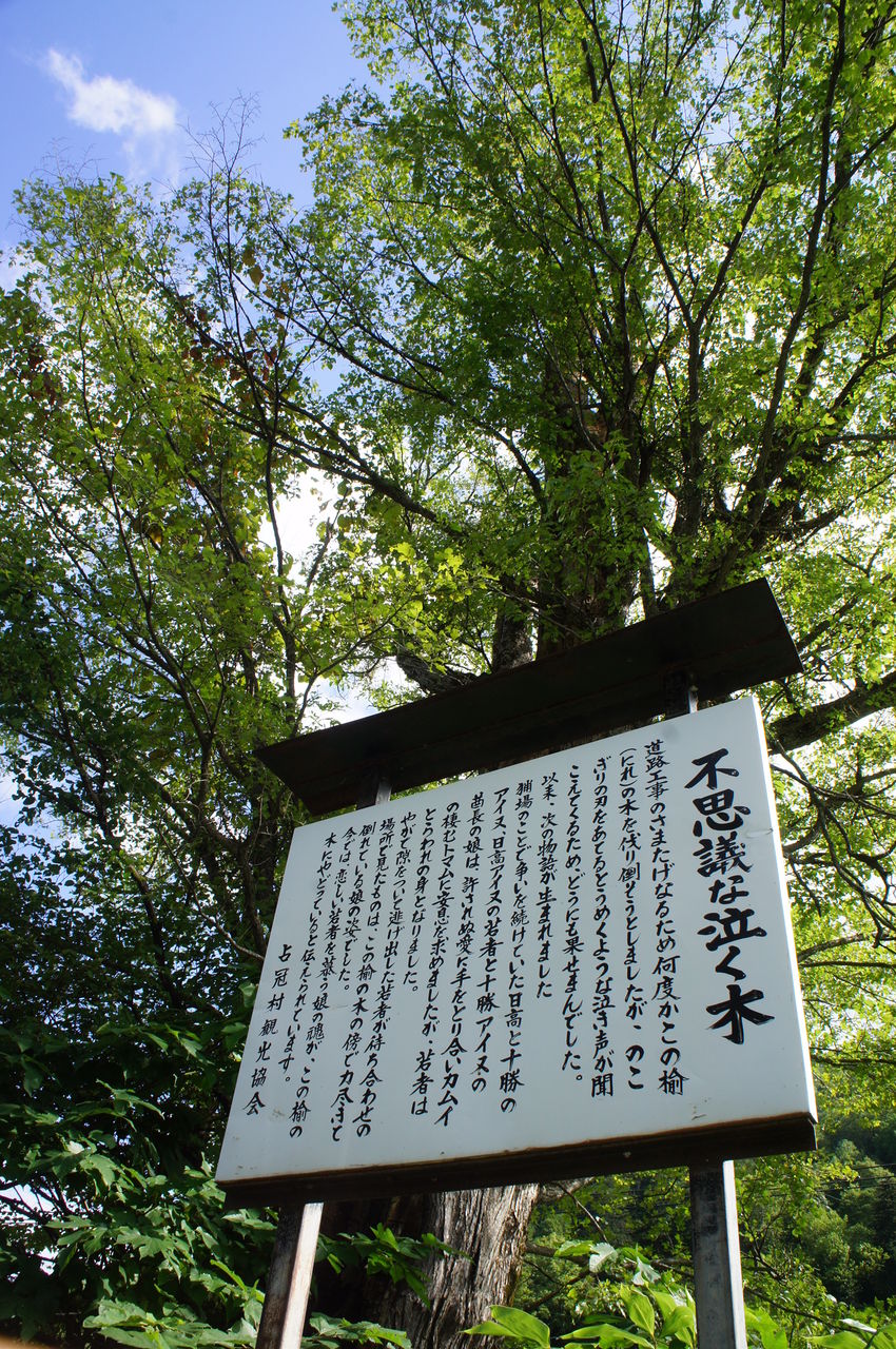ワルキューレ旅行 泣く木 夕張 登別 Happyな一日