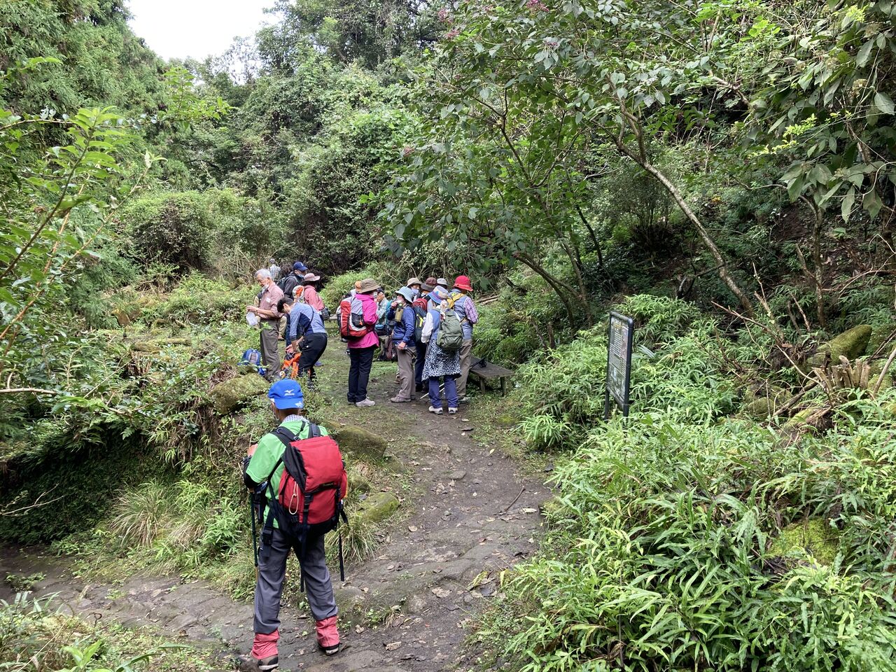 鋸山 329 5m Happynamichikoのblog 鋸山 329 5m Happynamichikoのblog