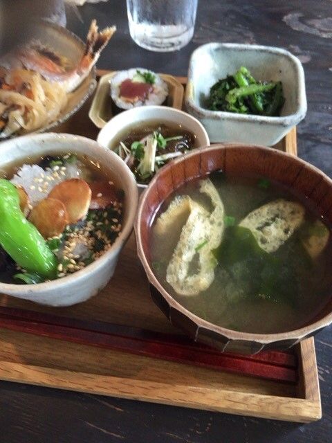 食_1553_1