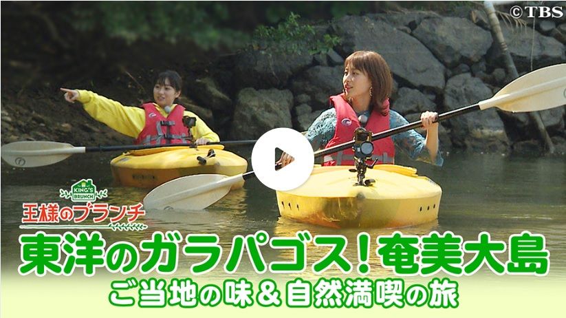 全国デビューいたしました 王様のブランチ 奄美パラグライダーガイドサービス Happysky