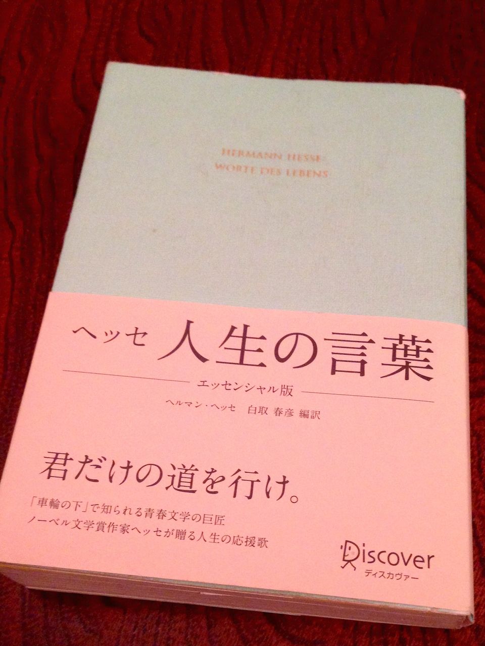 ヘッセの言葉 就職情報happywork ヘッセの言葉 就職情報happywork