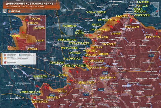 �ɥץ��ݥꥨ0312