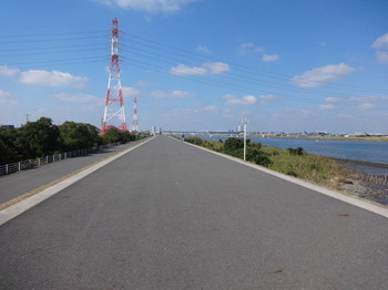 ����������ϩ����